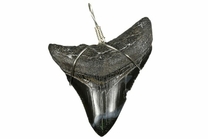 Fossil Megalodon Tooth Necklace #173810